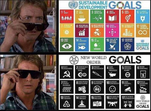 photo_2023-11-04_06-25-48