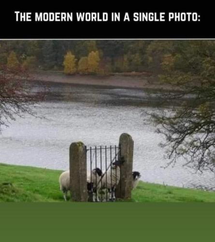 Screenshot_20231102_051525_Facebook