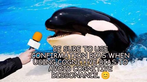 84b01dab-9d69-494a-ab16-6d3dd45d42c9