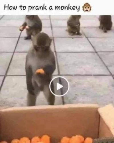 FB_IMG_1699210490409