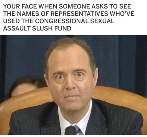 FB_IMG_1699296037093