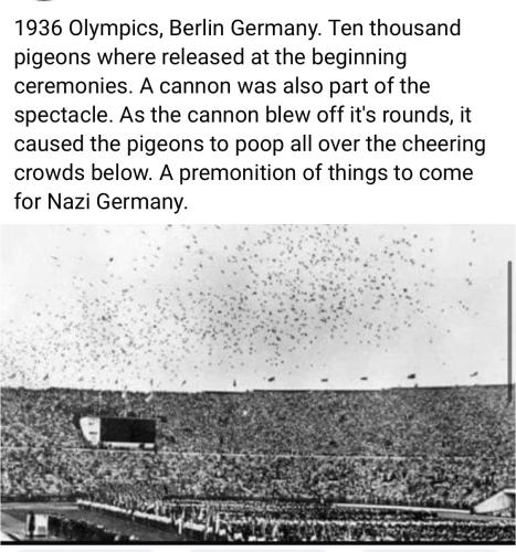 15:33:04 GMT+1300 (New Zealand Daylight Time).image