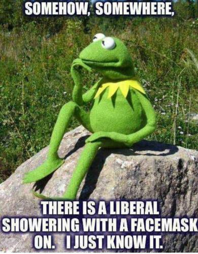 FB_IMG_1701117819148