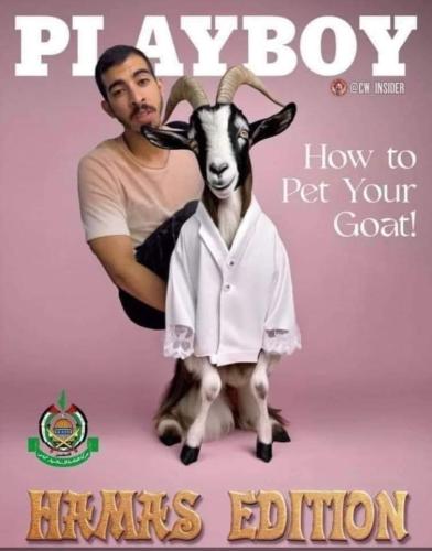 FB_IMG_1699121236854