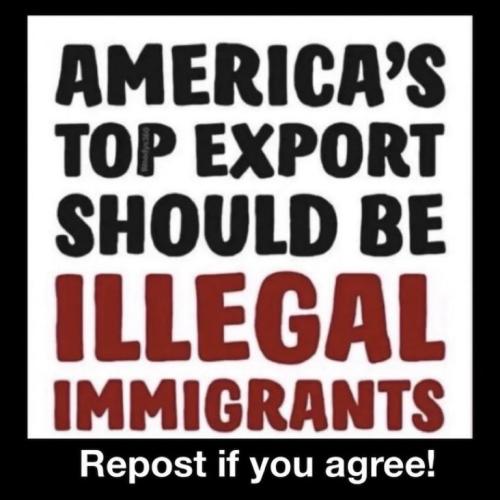 0639394c3df13d879d99f78127b60b0a_768x0