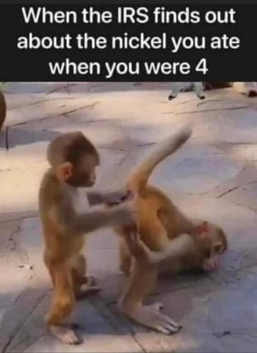 abaf2d7d-1453-4e06-9f78-813e77530fe3