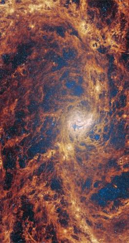 FB_IMG_1698961708849