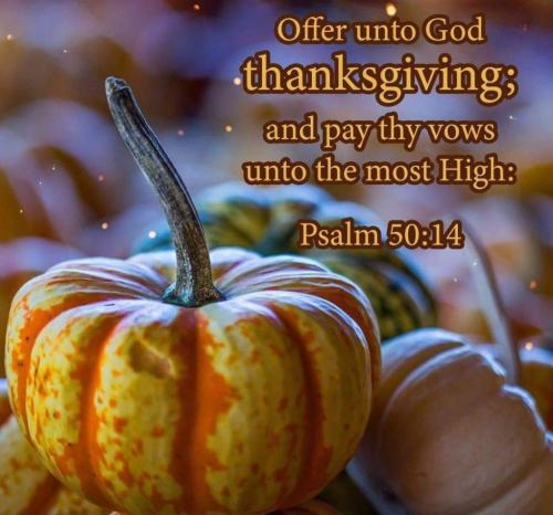 d3ab0900-13df-4584-a8bd-1f2f42941492