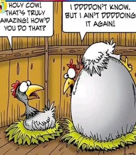 399627861_865091415280781_8225141481611890298_n