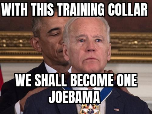 ZomboMeme 07112023045408