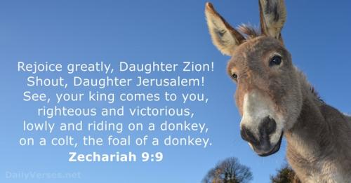 Zechariah 9_9