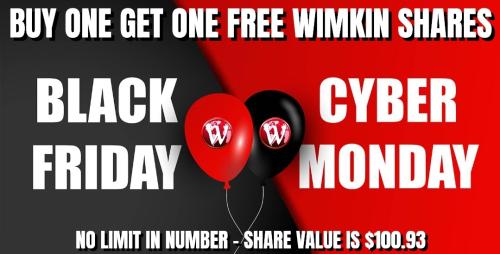 2024: The Year of Wimkin