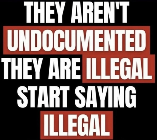 Illegals 1