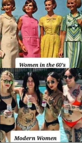 Collage 2023-11-12 18_46_27