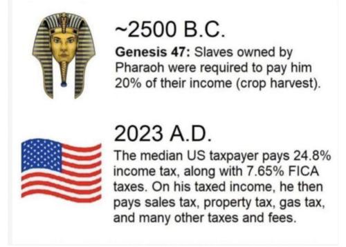 FB_IMG_1701178256898