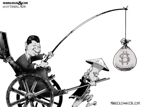 MC_RIckshaw_web-800x0