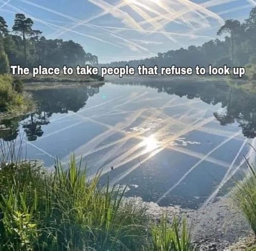 refuse to look up