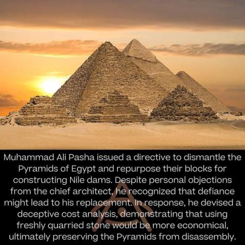 FB_IMG_1700196522687