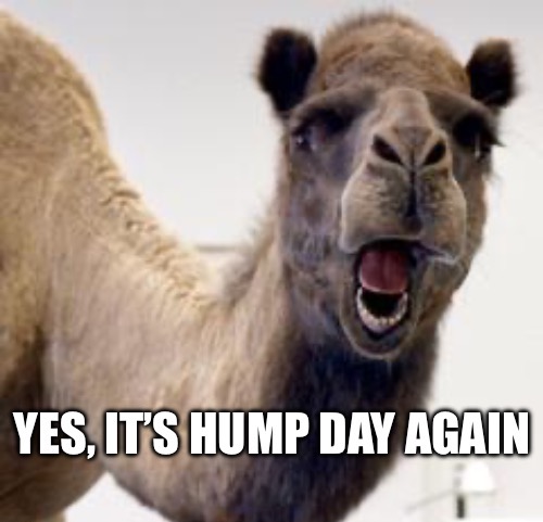 1- Hump Day