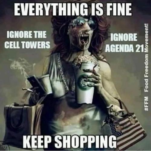 FB_IMG_1699172899614