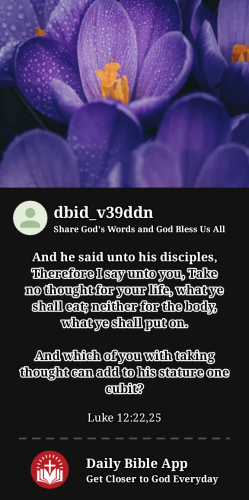 2023-11-091699593815515