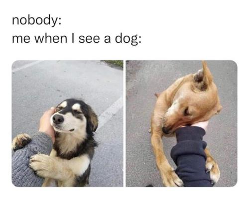 FB_IMG_1699131406201