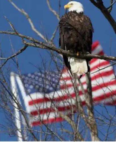 ea1467cb-fa72-421e-909f-7e0f997a33ea