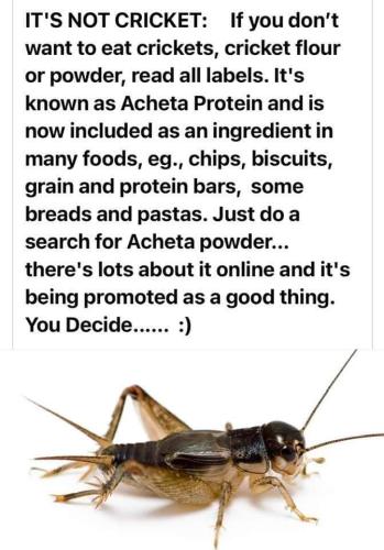 it's not cricket