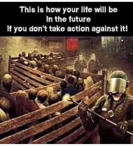 FB_IMG_1701195547759