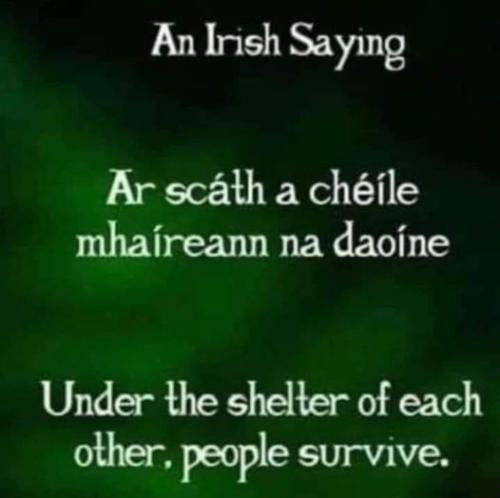 401263447_6765617963473251_8590726651928236273_n