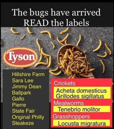 Screenshot_2023-11-16-05-47-07_kindlephoto-236660658