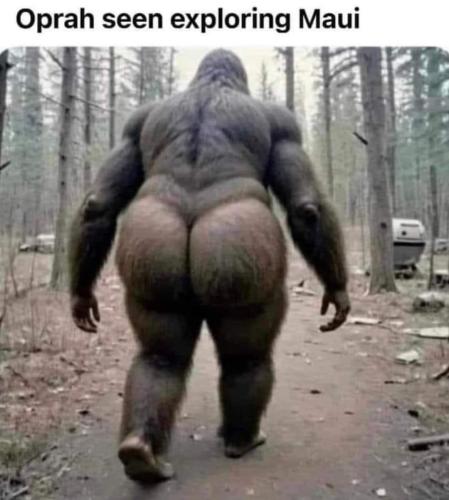 FB_IMG_1699563960175