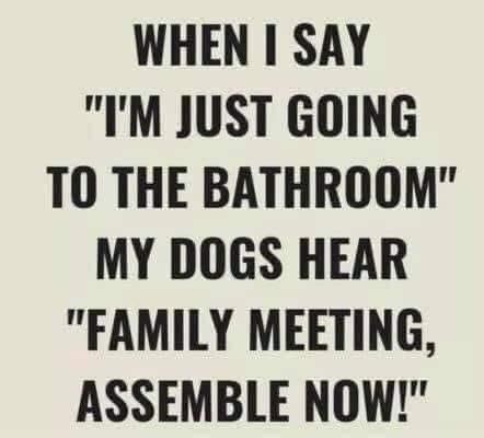 bae663c7fb55fc0e788d3a558da409c3