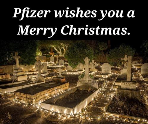 IMG_20231213_074127_443