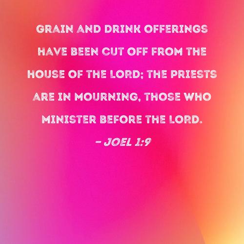 Joel 1_9