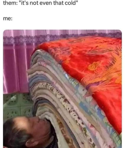 FB_IMG_1703987999673
