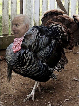 biden00