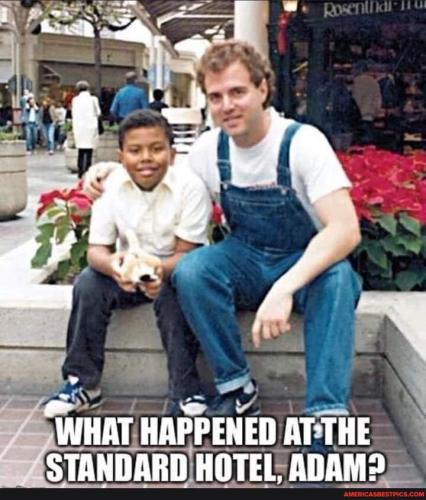 sngine_0bf8f697964b8a6bb954604254fe20b4