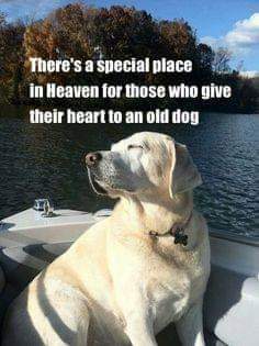 FB_IMG_1703774875262