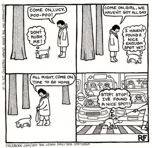 funny-dog-cartoons-off-the-leash-146-588879b13b80d__700