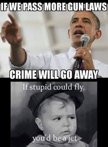 12341316_1059471710750826_4694611393839372768_n