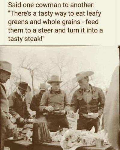 FB_IMG_1701741052553