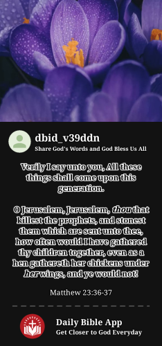 2023-12-081702046797587