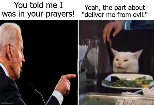 Biden and white cat