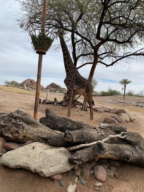 E107A909-F109-4831-9DD6-2E7E11B7EDC2