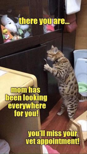 1687dc336e437e3d78e9effc9a31da72