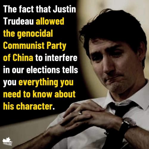 everything you need to know