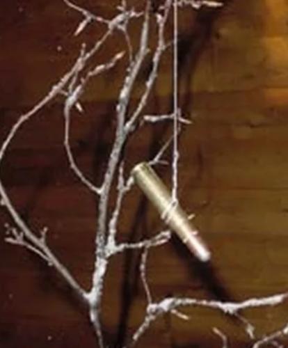 Screenshot_20231220-214249_Brave