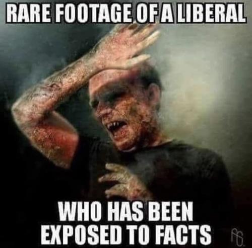 381021469_719004426933070_3632867789205246599_n