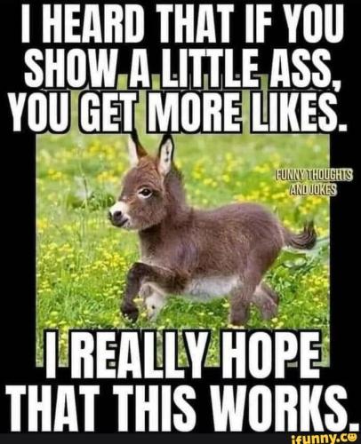 76517433c8192ce6a2b6000841a60bdafd6c4237bc58e6d47430ae7ffb6587fd_1